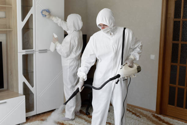 24/7 Emergency Odor Removal experts in Greenville, MI